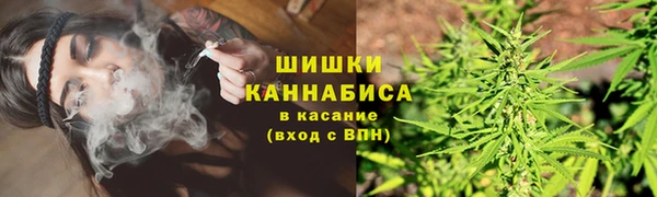 стаф Нея