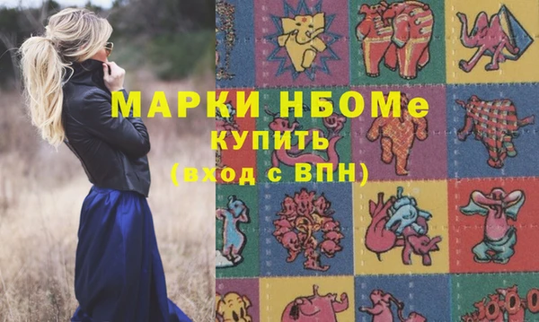 стаф Нея