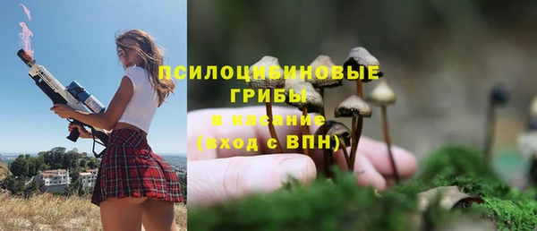 стаф Нея