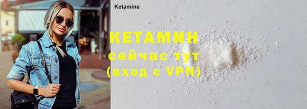 стаф Нея