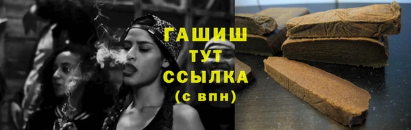 гидра Надым