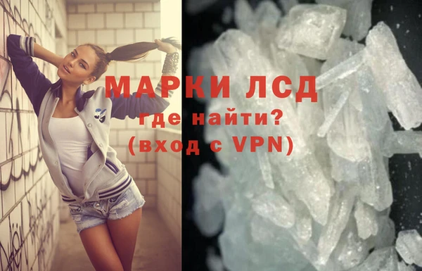 стаф Нея
