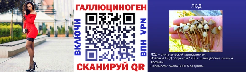 Псилоцибиновые грибы Psilocybe  Ковдор 